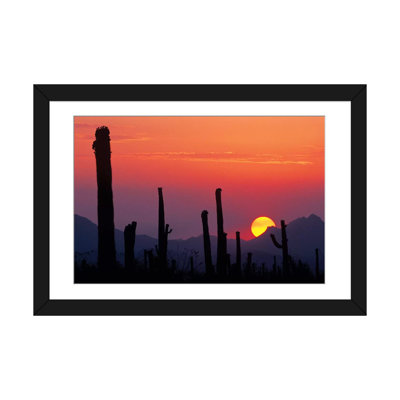 «Saguaro Cacti at Sunset II, Saguaro National Park, Sonoran Desert, Arizona, USA», reproduction de photo sur toile