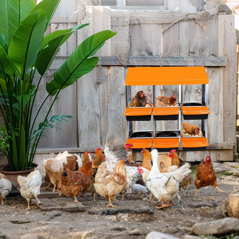 Nesting Boxes