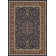 Oriental Indoor Rug