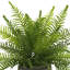 Outdoor UV-Rated Fern in Fiberstone Pot-748258956