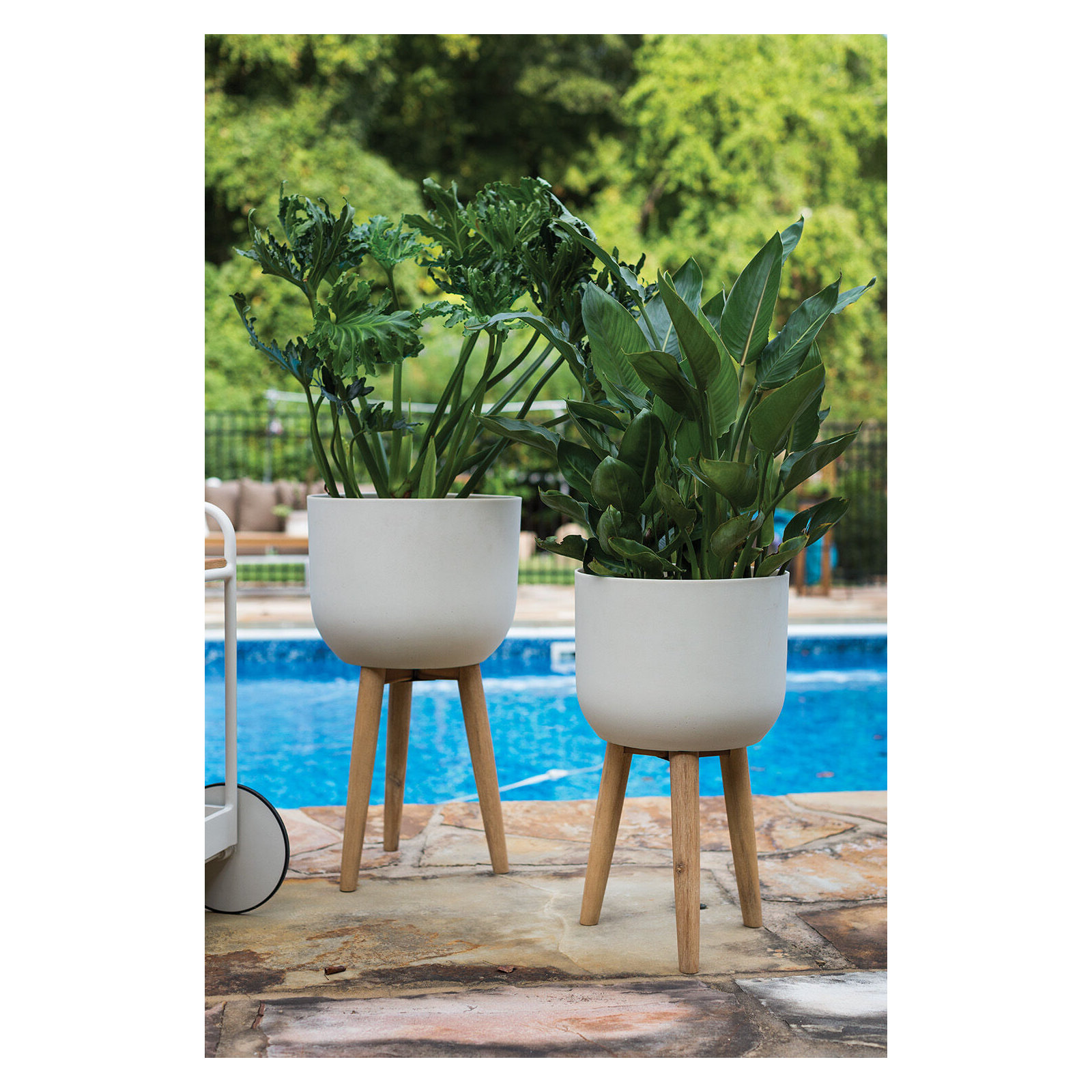 Luminara Plant Stand