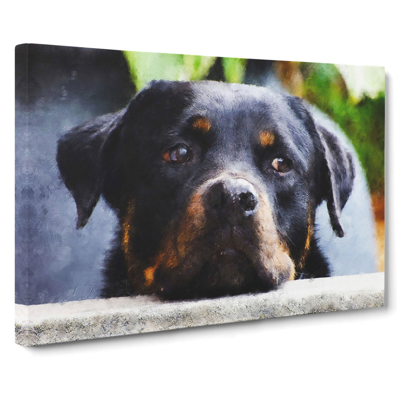 Rottweiler Dog - Wrapped Canvas Painting, 40cm H x 60cm W x 3cm D