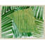 Abstracted Fern 1 Print by Thom Filicia
