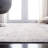 Roybal Performance Rug-1082288798