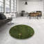 Tapis vert contemporain Naema-1916155429