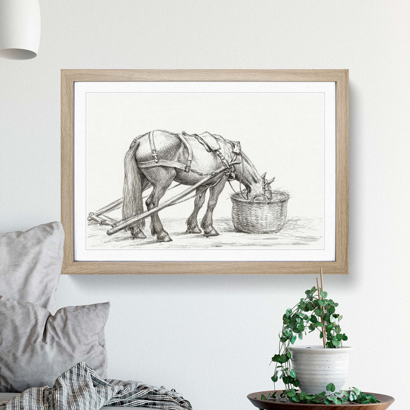 Horse Drinking by Jean Bernard - Picture Frame Drawing Print, Oak Framed, 36cm H x 48cm W x 2cm D