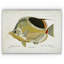 « fish sketch i », impression-22188522-28042505-28042507