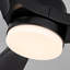 Ventilateur de plafond noir Hot Lights de 42 po avec lumières Hot Fan