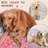 Animal Print Velvet Pet Blanket