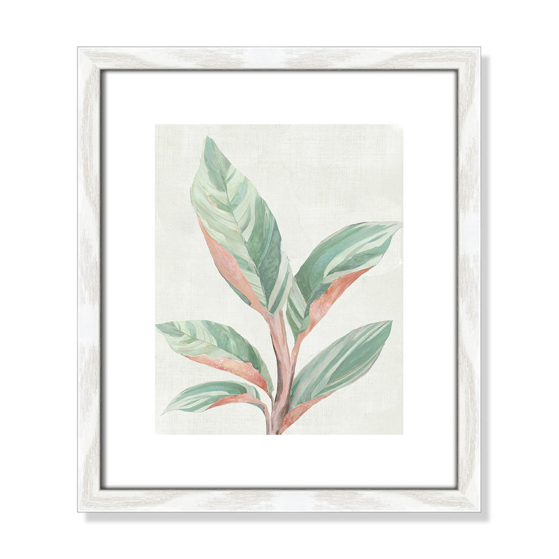 Gingembre II - reproduction d'art, Papier avec cadre en bois blanc, H 15 po x l 13 po x P 0,75 po