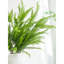 6 tiges de pin de cèdre Real Touch, 36 po de branches de pin de cèdre pour vases tiges de verdure de Noël pour bricolage guirlande maison intérieur extérieur Noël décorations de Noël