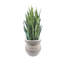 Ceramic Pot Planter
