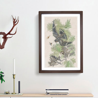 Night Hawks by John Audubon - Picture Frame Painting Print