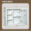 Armoire de rangement murale 42 po avec miroir