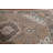 Brown Distressed Traditional Area Rug 7x10