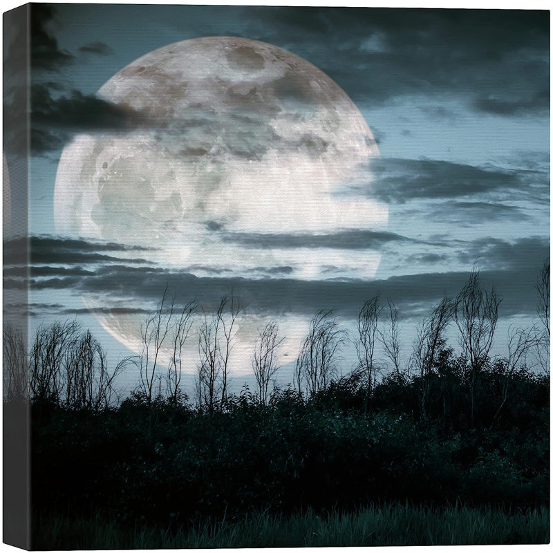 «Full Moon Blue Sky Dark Forest Plant Silhouette», reproduction sur toile tendue, H 24 po x l 24 po x P 1,5 po