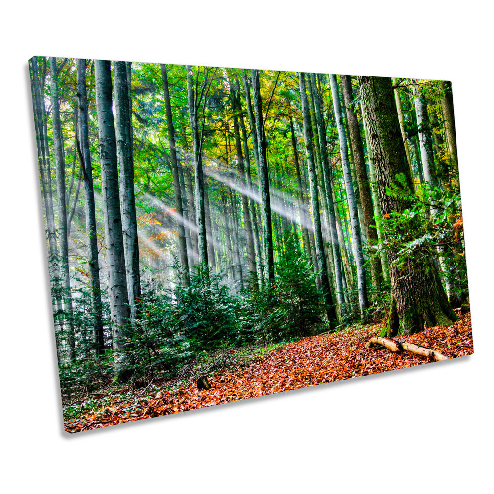Forest Landscape Sunset Rays - Wrapped Canvas Print