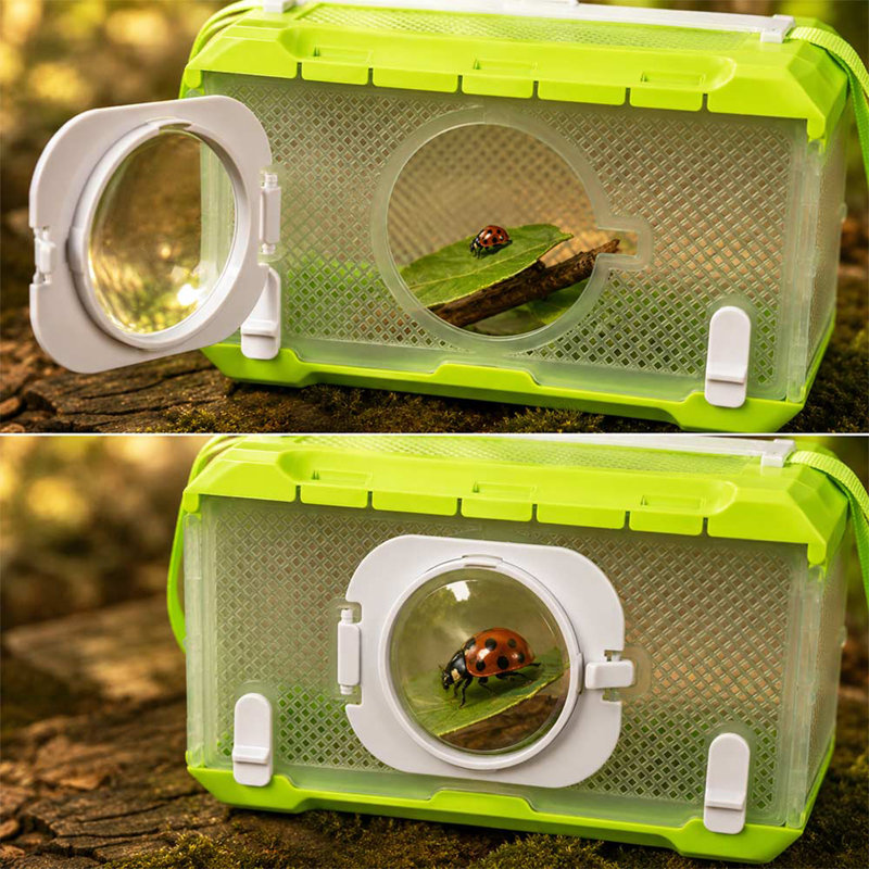 Foldable Insect Cage