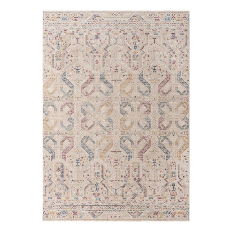 Tapis Dakota Fields Congruence Deepa, Rectangle 6 pi x 8 pi 9 po