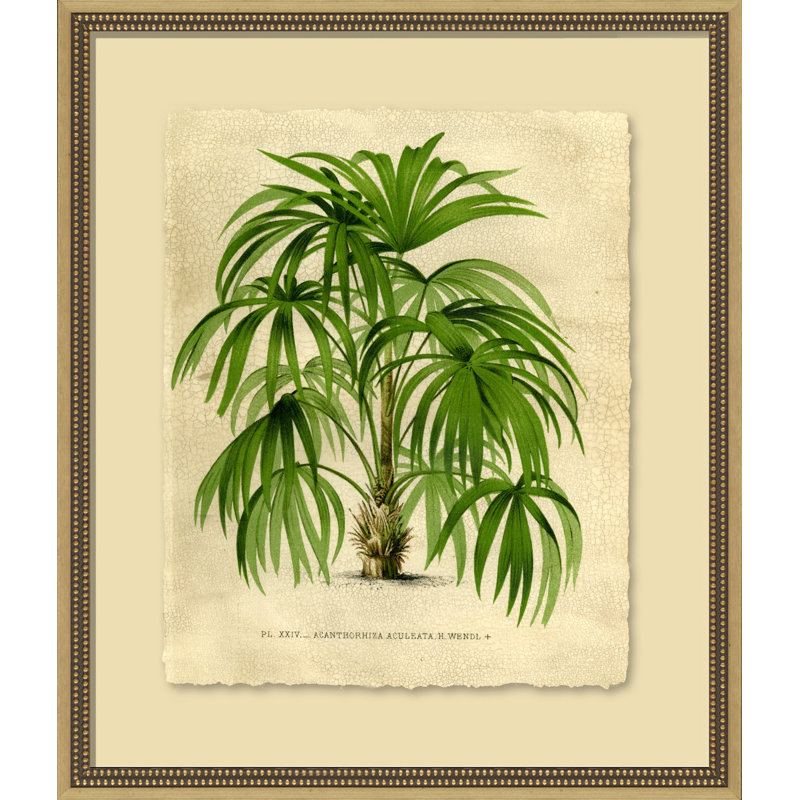 Island Palm I Painting