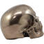 Sculpture crâne en bronze Cvitko Ebros