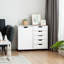 Buffet décoratif 5 tiroirs et 1 porte