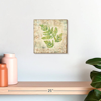 Harnek Birch Bark Ferns II