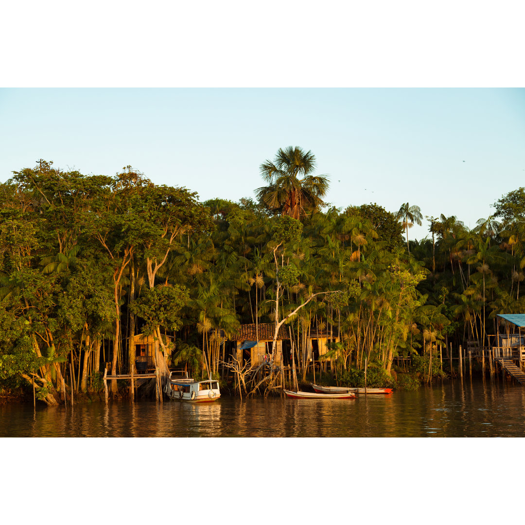 Leinwandbild Amazonas Fluss und Regenwald