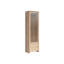 Display Cabinet-1161283322
