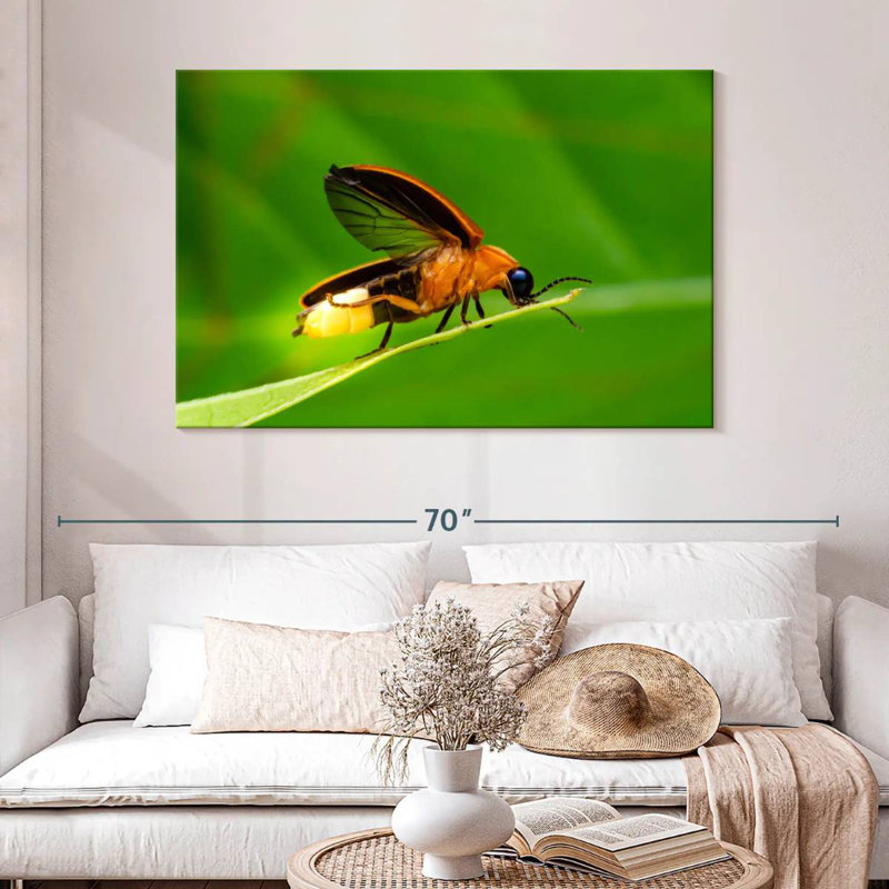 Brampt Firefly, 32" H x 48" W