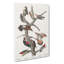 Collection of Woodpeckers by John James Audubon - Wrapped Canvas-55370812