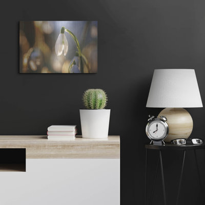 Luxe Metal Art 'Shining Beauty' By Martin Podt, Me " Shining Beauty " by Martin Podt