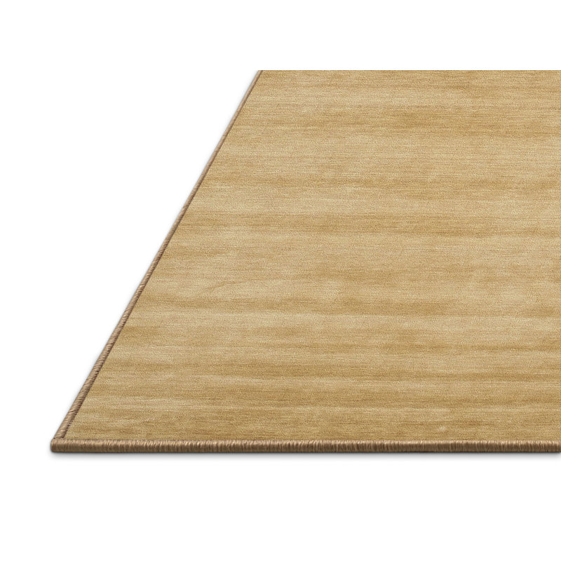 Tapis brun contemporain, Rectangle 2 pi x 3 pi