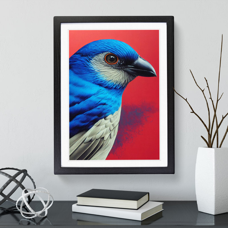 Splendid Bird - Wrapped Canvas Print, 64cm H x 46cm W x 2cm D, Black Framed
