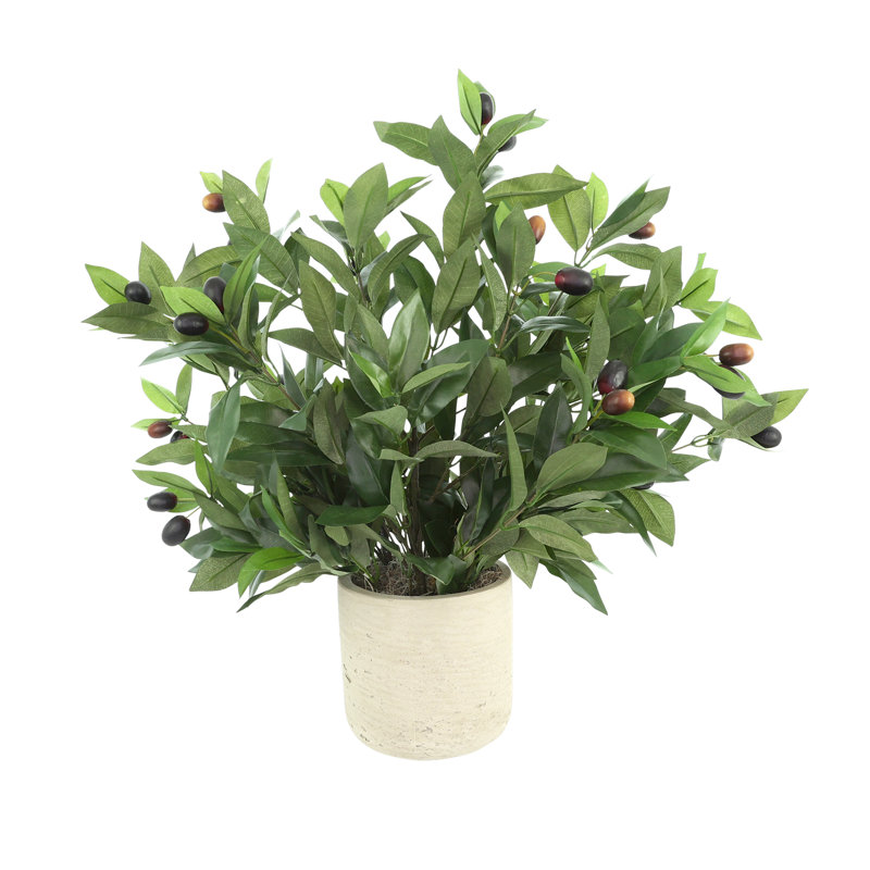 Faux Olive Tree Plant in Fiberstone Pot