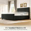 Modern Velvet Upholstered Platform Bed-4 Storage Drawers-132393736-132393738