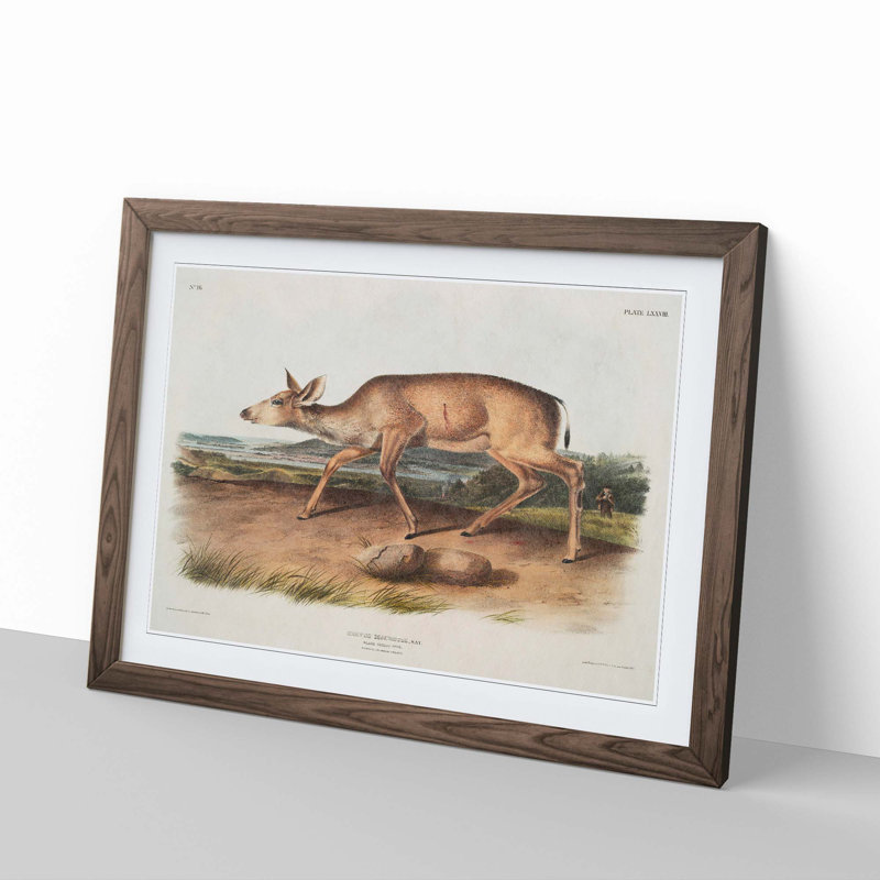 Hunted Black-Tailed Deer by J.W. Audubon - Framed Print, Walnut Framed, 48cm H x 65cm W x 2cm D