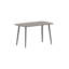 Metal Base Dining Table
