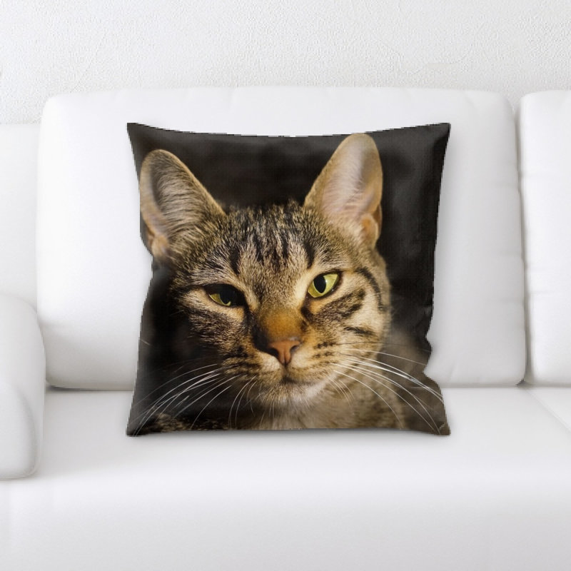 Coussin pour chat