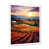 White Single Picture Framed