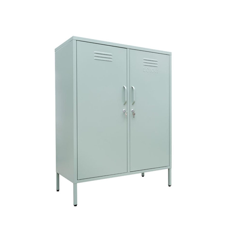 Tamanna Steel 2 - Door Rectangle Accent Cabinet, Sage Green
