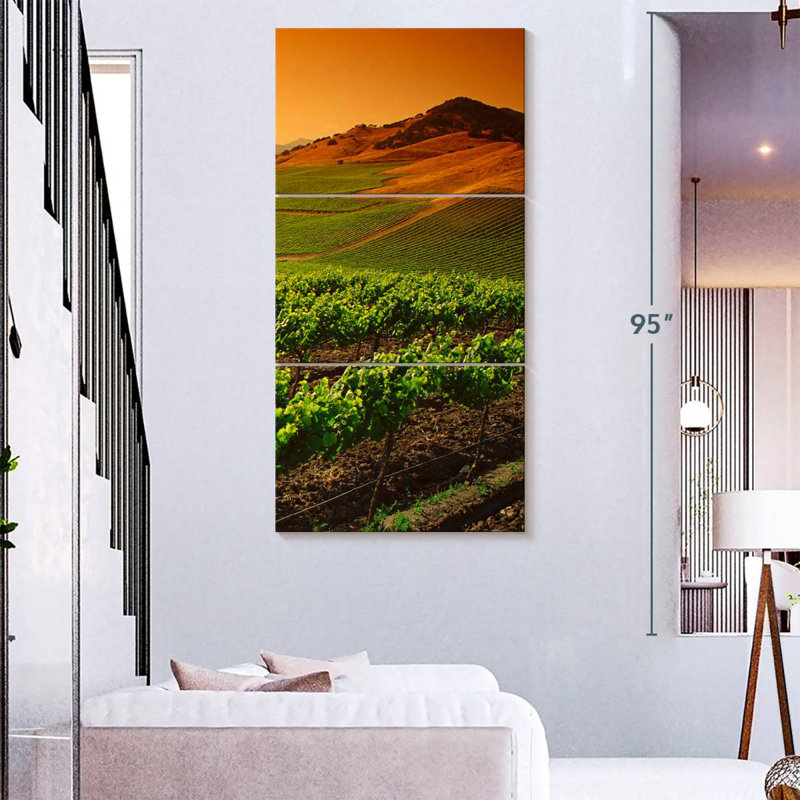 Carneros Vineyard Twilight