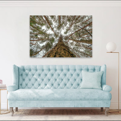 Look Up, art contemporain de paysage forestier abstrait