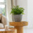 Abiella Pot Planter-745407032-777293748-776790348