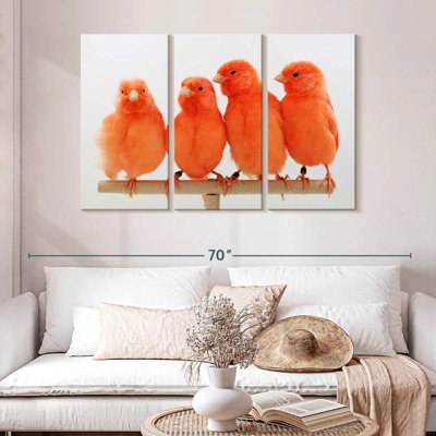 Brampt Red Canaries