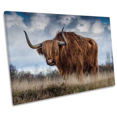 Highland Cow Bull Framed - Wrapped Canvas Print
