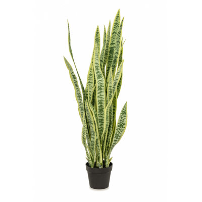 Fausse plante dracéna en pot Rummond