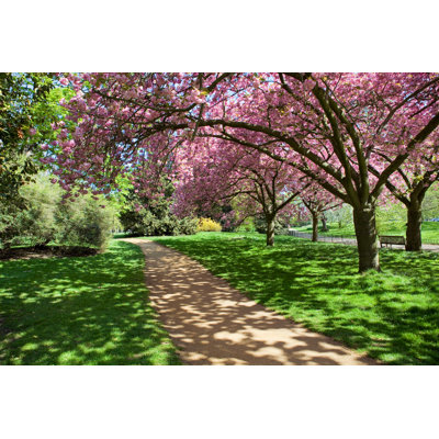 Hyde Park - Wrapped Canvas Print