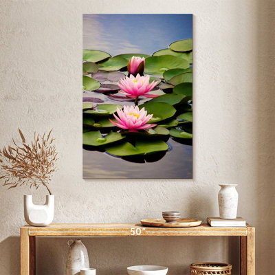 Sacred Lotus Flowers