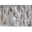 Acrylbild Double Vision von Kamila Wu